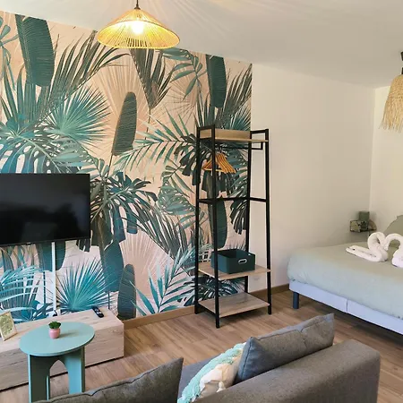 Apartment T1 Acces Direct Via Rhona - Clim -local Velo - Cnpe